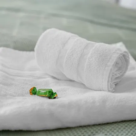 Roth Wuppertal-elberfeld Lejlighed